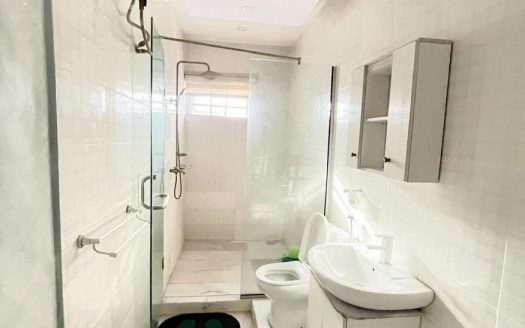 3 bedroom flat (penthouse)