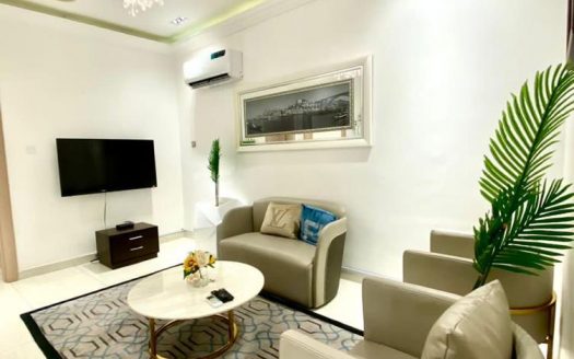 Furnished 3 Bedroom Terrace Duplex For Rent Ikoyi