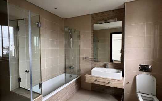 Furnished 3 bedroom apartment for rent ikoyi