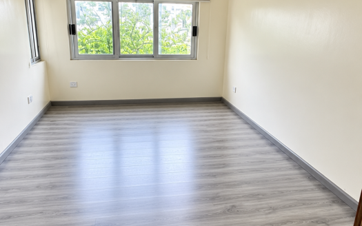 Spacious Commercial Office