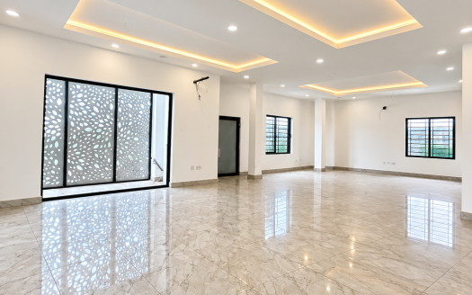 Brand new massive commercial space