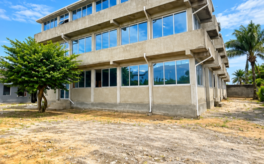 Modern Concrete Building Under Tropical Skies