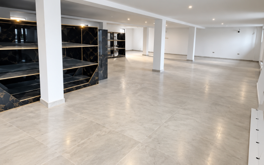 Open-plan Commercial Space
