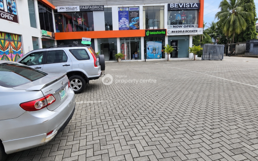 Road-Facing Commercial Shop