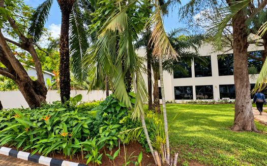 Premium Office Space